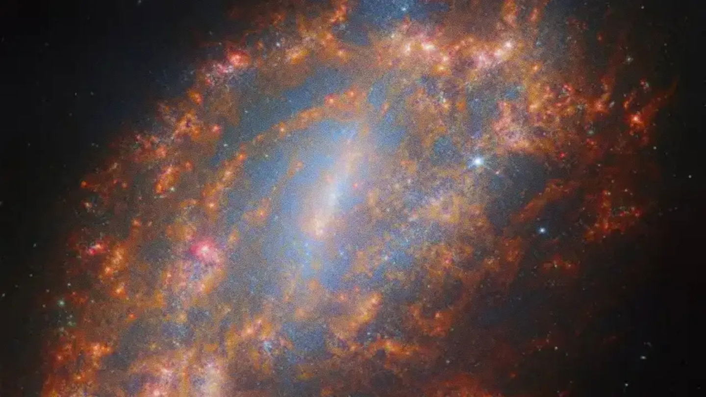 Así nos muestra el telescopio James Webb la galaxia NGC 1559