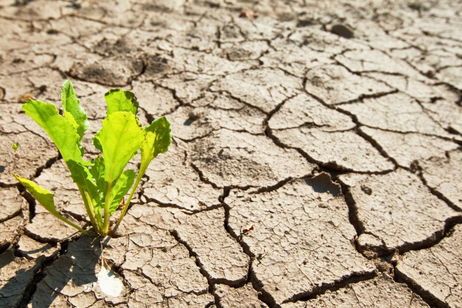 El cambio climático tiene contra las cuerdas a los agricultores. Esta empresa tiene la tecnología para salvar los cultivos