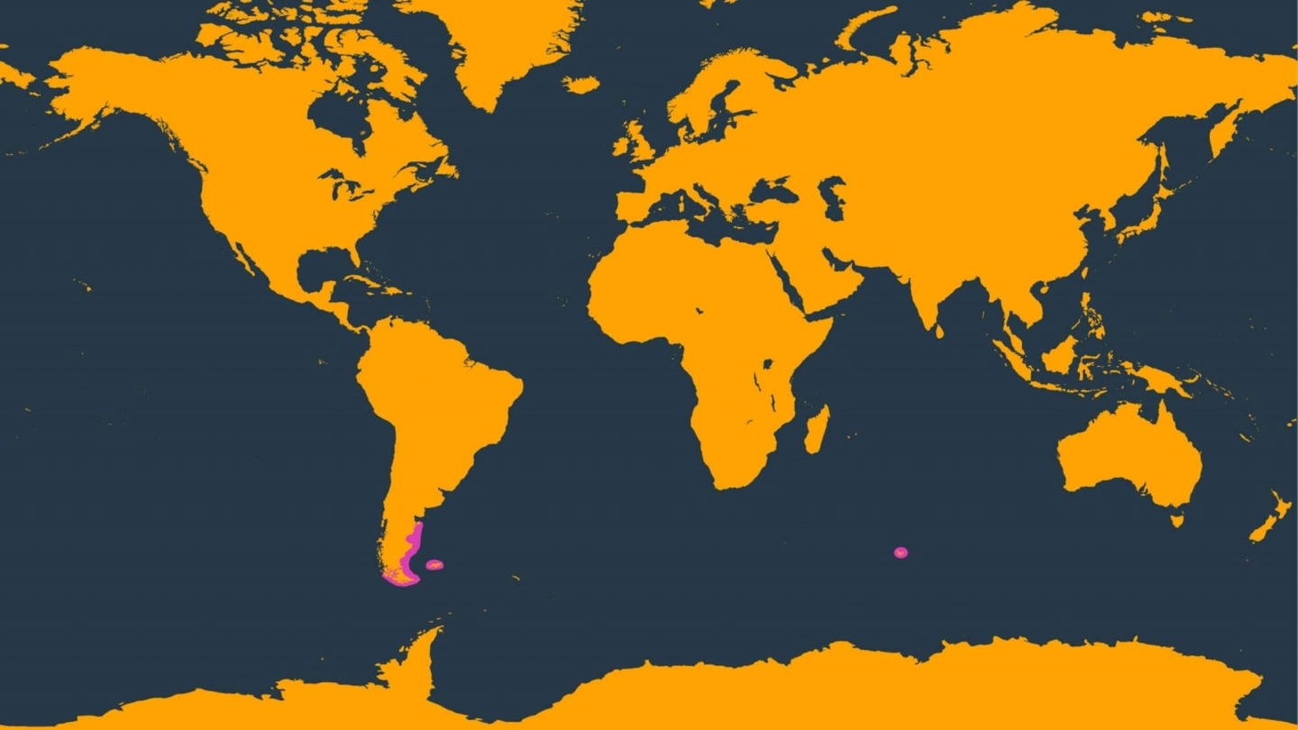 En color rosa, los lugares donde habitan los delfines panda