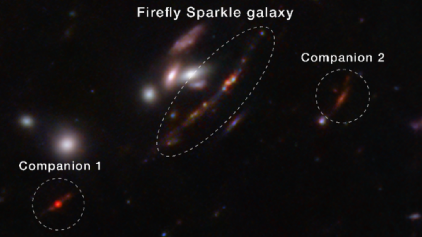 Imagen de la galaxia Firefly Sparkle, y dos galaxias cercanas, afectada por la lente gravitacional