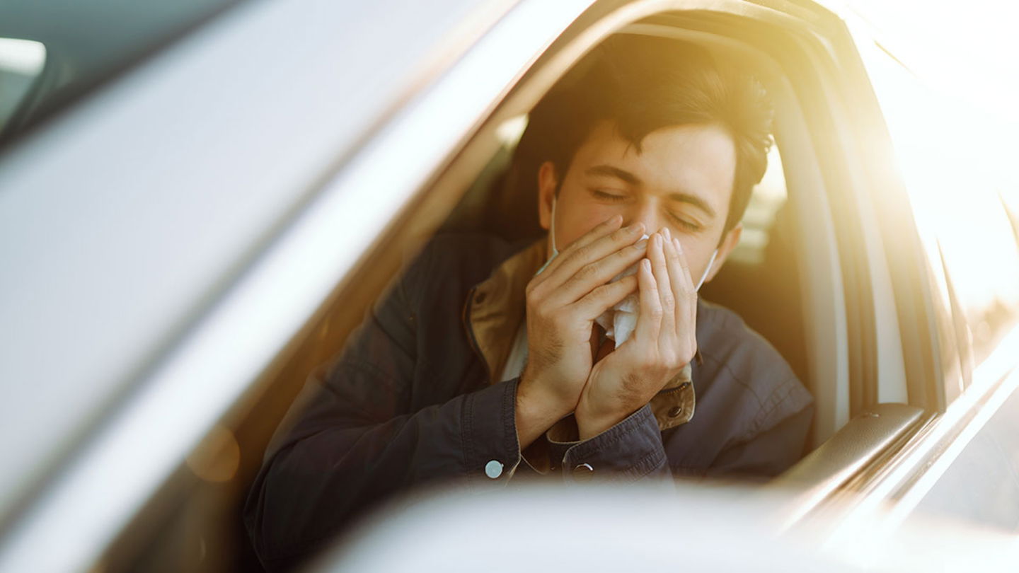 sintomas alergia coche