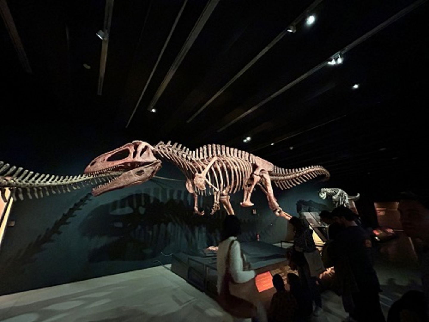 Los dinosaurios argentinos invaden Madrid. Si todavía no los has visto, podrás hacerlo en esta exposición que hay cerca de Atocha
