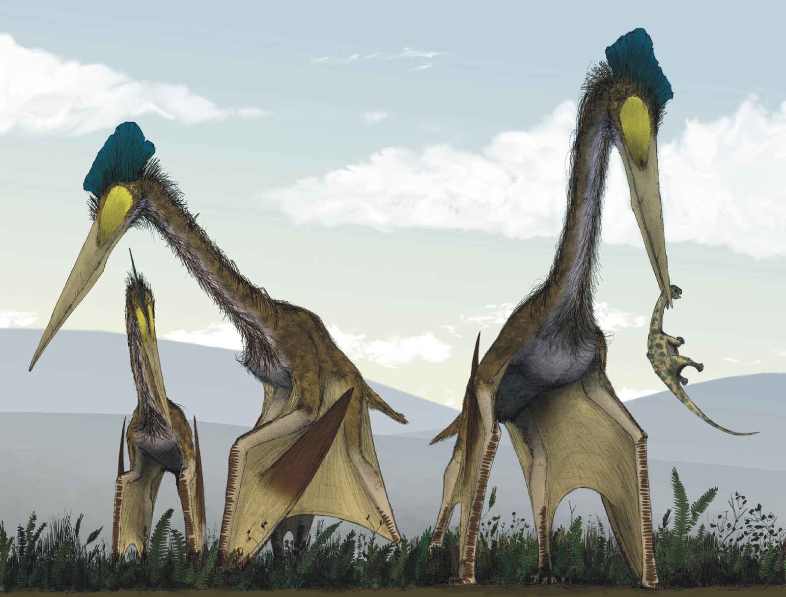 Así era el Quetzalcoatlus el dinosaurio volador más grande que jamás ha existido 1