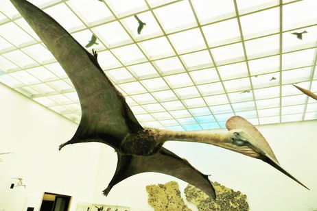 Así era el Quetzalcoatlus, el reptil volador más grande que jamás ha existido Así era el Quetzalcoatlus, el reptil volador más grande que jamás ha existido