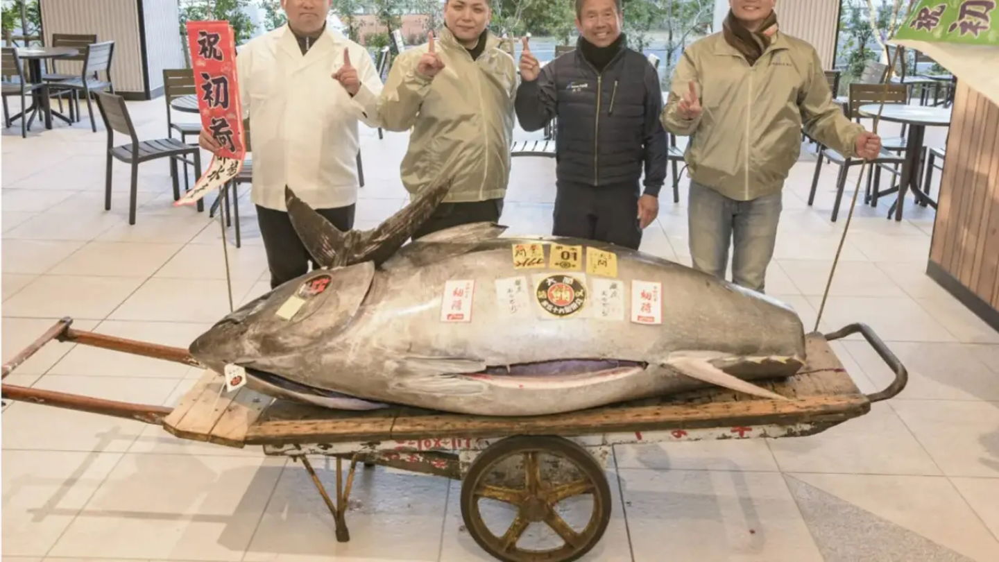 Este es el enorme atún subastado en Tokio recientemente