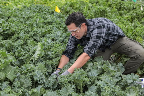 El nuevo proyecto de Google promete revolucionar la industria agrícola. Lo hará gracias a la inteligencia artificial