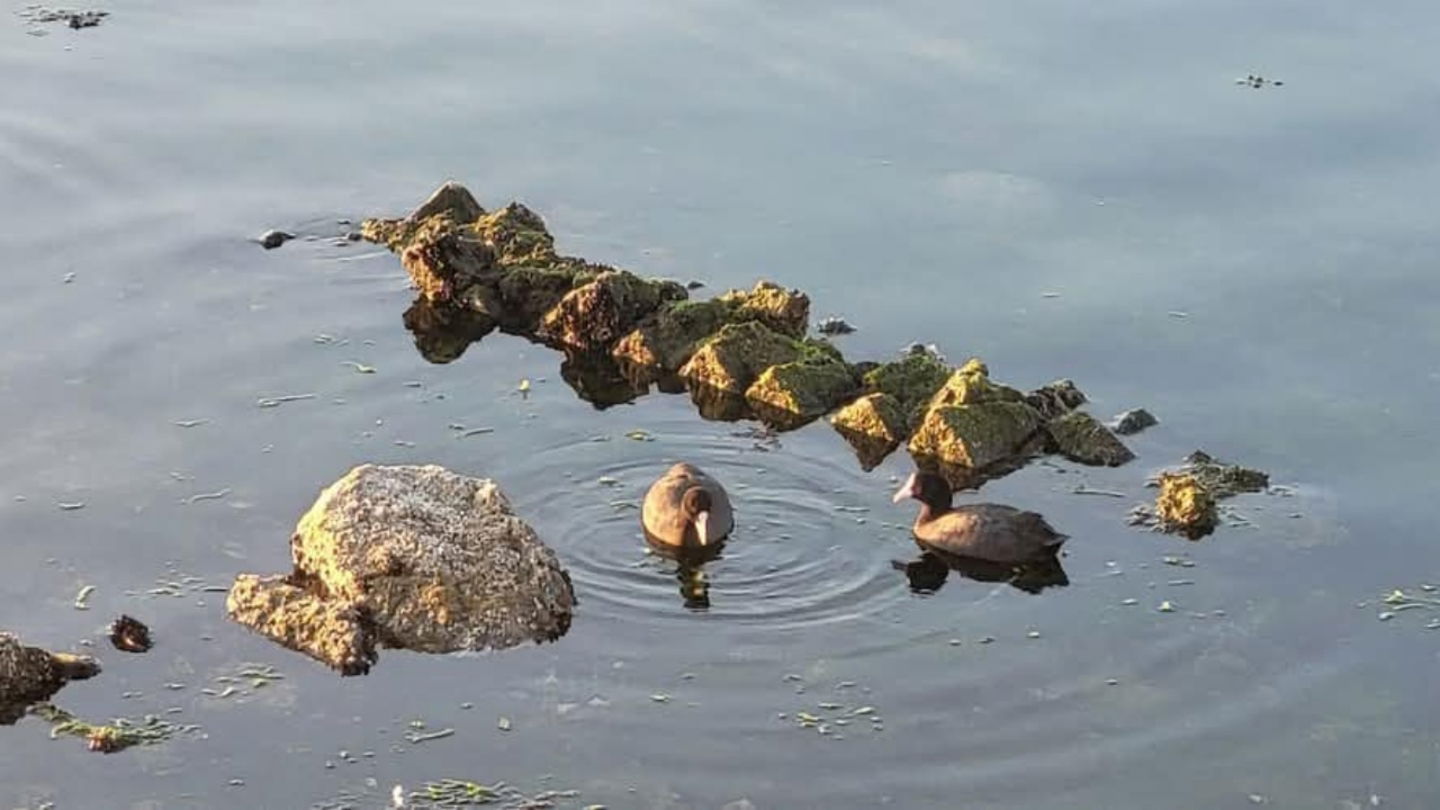 Detalle de los restos de la villa romana encontrada cerca de la ciudad de Bacoli