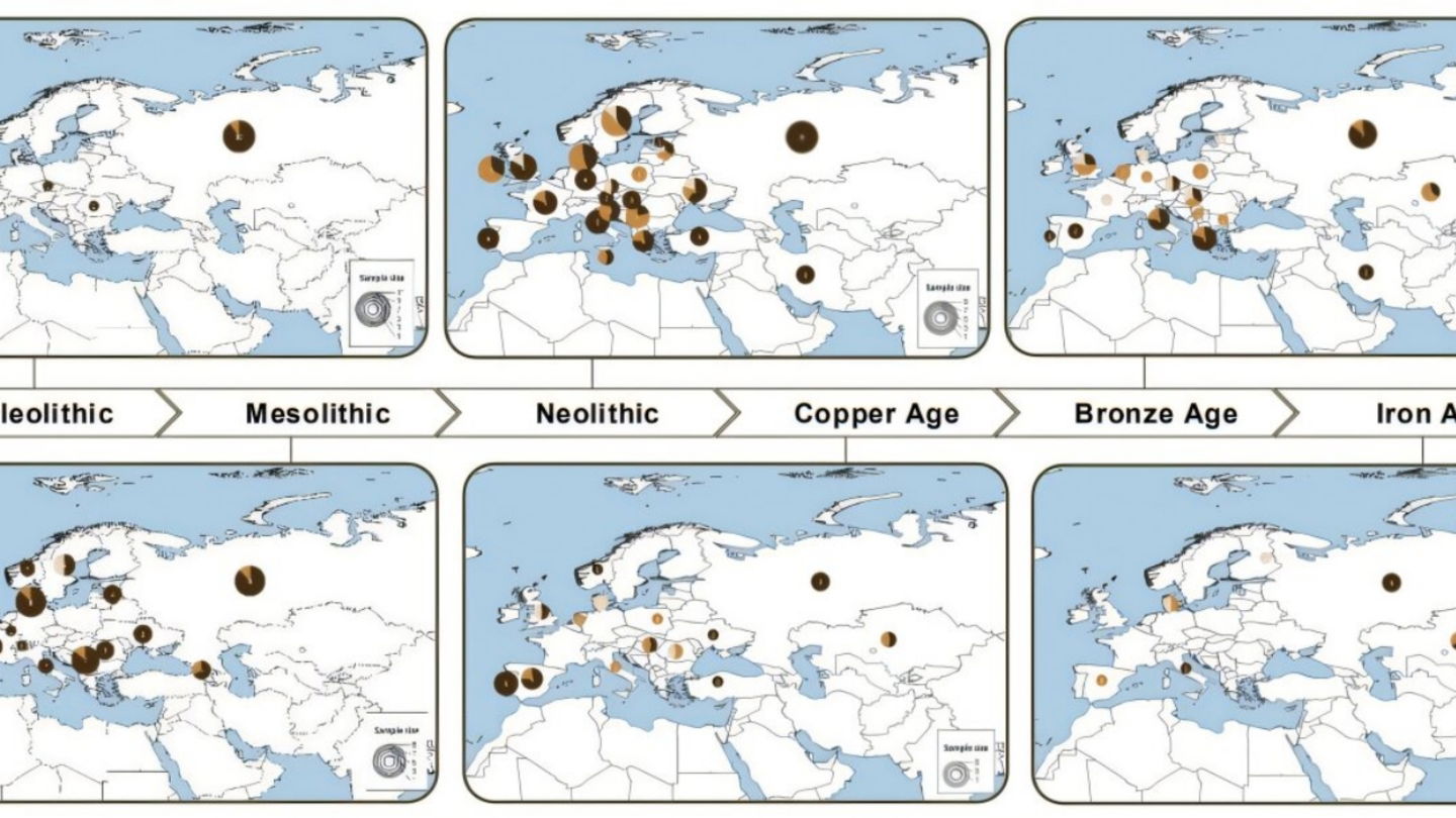 Distribución de la pigmentación de la piel en Europa a lo largo de los últimos 45.000 años