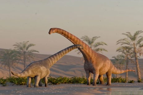 Argentina es el país de los grandes dinosaurios y ahora acaban de encontrar uno más: era herbívoro y medía casi 8 metros