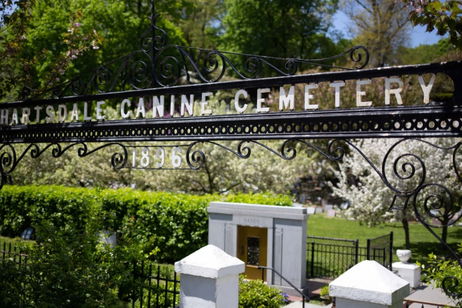 Este es el mayor cementerio de mascotas del mundo, incluidos muchos animales famosos, del mundo del espectáculo y la exploración espacial Este es el mayor cementerio de mascotas del mundo, incluidos muchos animales famosos, del mundo del espectáculo y la exploración espacial