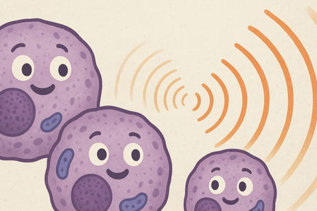 El poder oculto del sonido: así es como las células pueden escuchar y reprogramar tu cuerpo El poder oculto del sonido: así es como las células pueden escuchar y reprogramar tu cuerpo