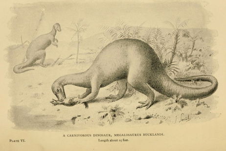 Cuándo se descubrieron los dinosaurios y cuál fue la primera especie catalogada Cuándo se descubrieron los dinosaurios y cuál fue la primera especie catalogada