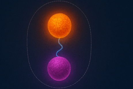 Señales misteriosas en el CERN. Científicos podrían haber encontrado algo nunca antes detectado Señales misteriosas en el CERN. Científicos podrían haber encontrado algo nunca antes detectado