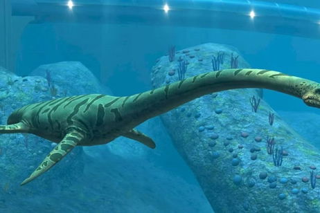 Un fósil de 85 millones de años devuelve la vida a un antiguo monstruo marino y no era un dinosaurio