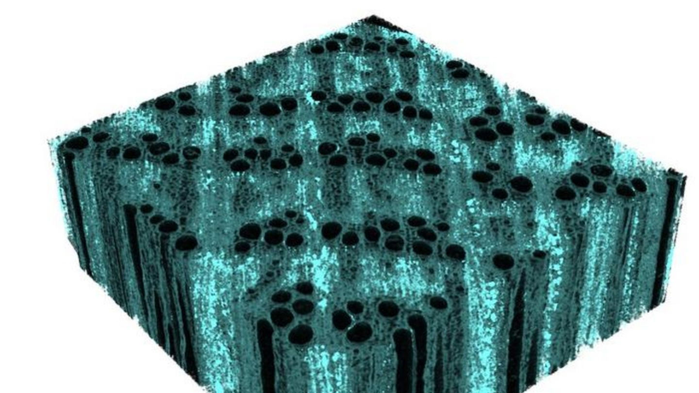 Imagen 3D de alta resolución, creada mediante rayos X, que muestra la distribución del mineral de hierro en la pared celular de la madera