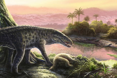 Un primo lejano de los cocodrilos dominó el Caribe después de los dinosaurios. Era una bestia sanguinaria parecida a un perro Un primo lejano de los cocodrilos dominó el Caribe después de los dinosaurios. Era una bestia sanguinaria parecida a un perro