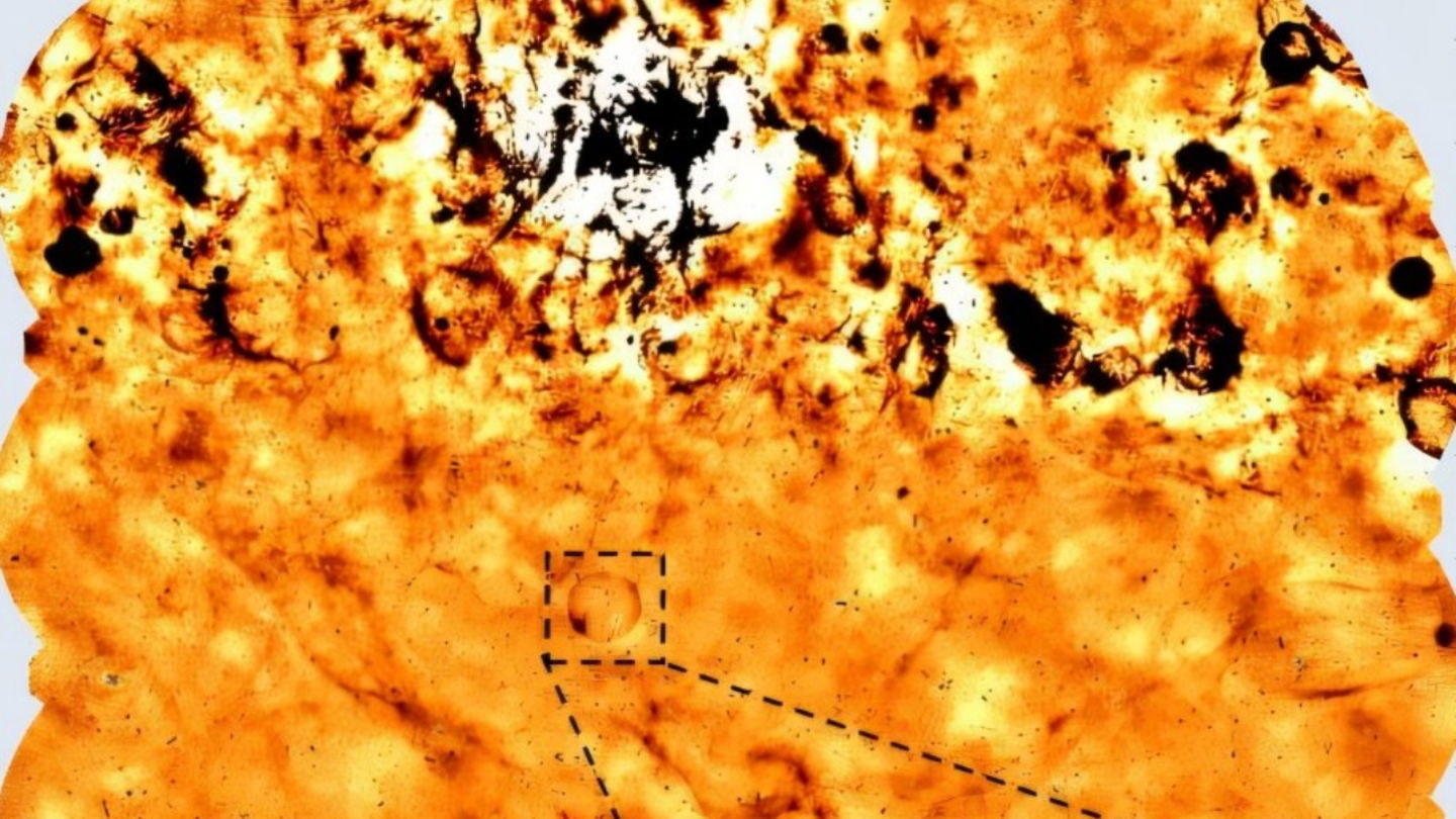 Imagen de Teleios y el entorno que muestra el plano galáctico