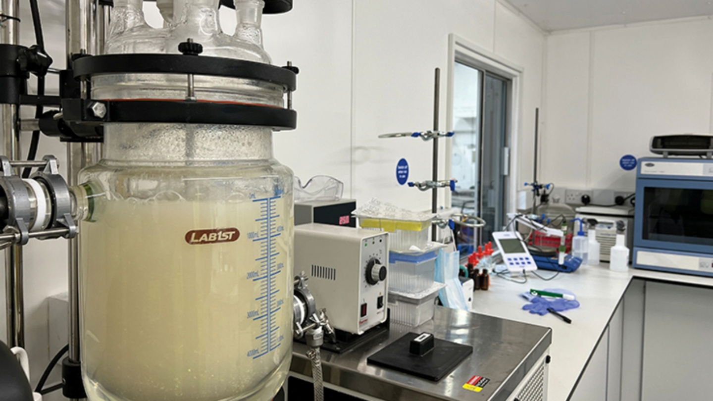Las bacterias de Cell Cycle son cultivadas en la propia empresa