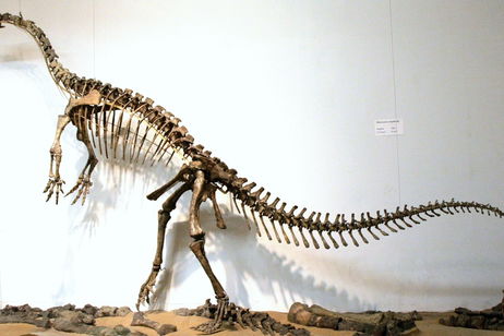 La cola de este dinosaurio era un arma letal: tenía la fuerza de 174 boxeadores