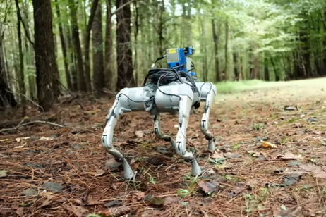 Un nuevo perro robot puede caminar por donde los humanos no pueden. Todo es gracias a la IA