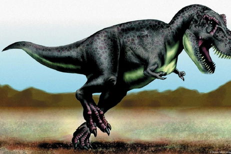 Un antiguo fósil de dinosaurio revela la historia íntima del Tiranosaurio rex: es más antiguo de lo que creíamos