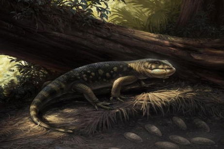 Han sacado su nombre de un libro de Tolkien, pero este lagarto era un pequeño gran depredador de la época de los dinosaurios