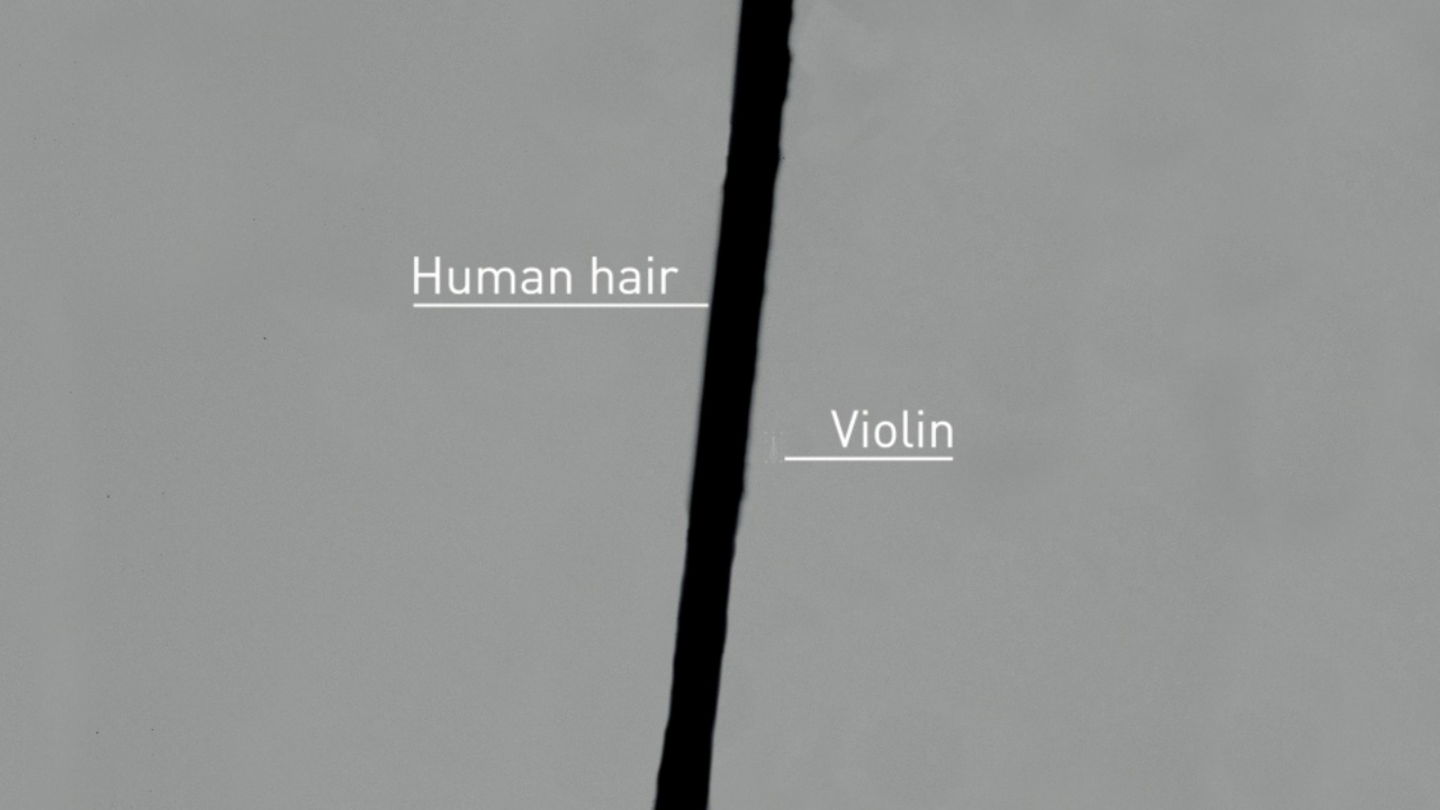 Comparación entre un cabello humano y el violín microscópico