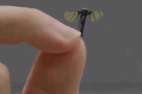 Parece un mosquito, pero es un dron diminuto desarrollado por China para el campo de batalla Parece un mosquito, pero es un dron diminuto desarrollado por China para el campo de batalla