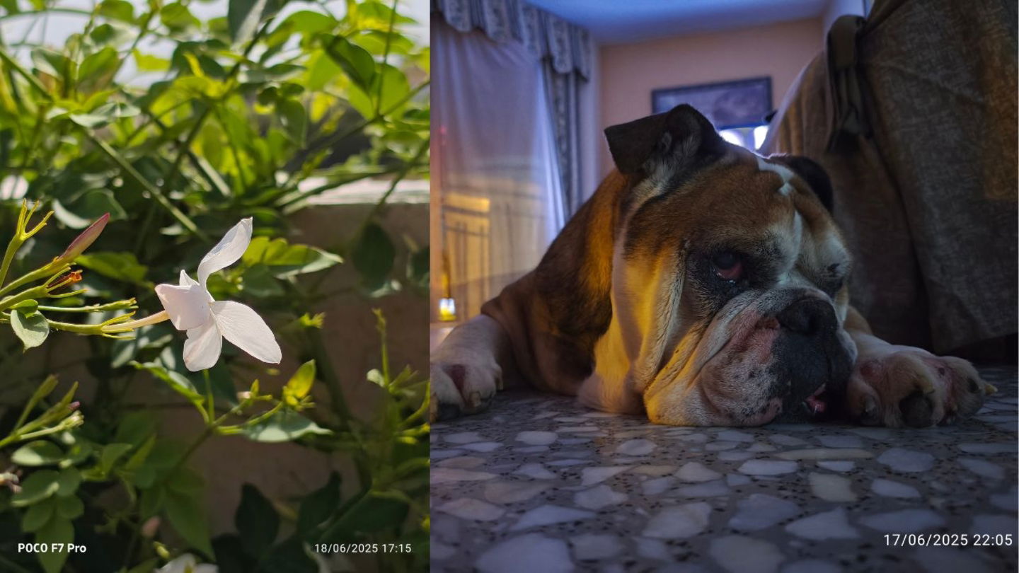 Fotografías tomadas con POCO F7 Pro