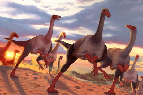 Los paleontólogos encuentran una enorme "pista de baile" para dinosaurios y todo tiene una explicación
