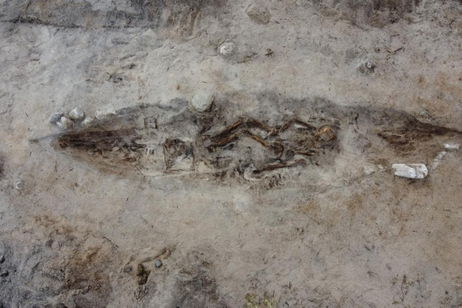 Una tumba de hace 1.000 años nos cuenta una historia de lealtad eterna entre una dama vikinga y el perro que la acompañó al más allá