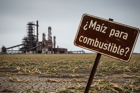 Fabricar biocombustibles ha sido un enorme fracaso, o al menos eso dice este estudio