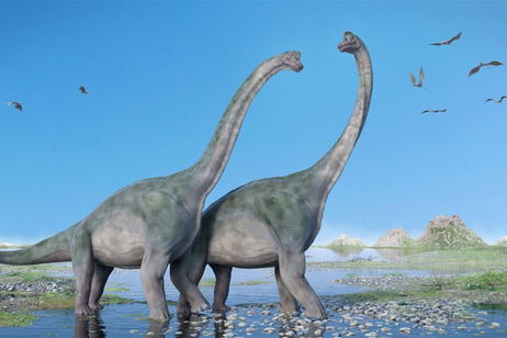 La lista de dinosaurios se amplía: este cuellilargo ha sido encontrado en China y tiene 165 millones de años