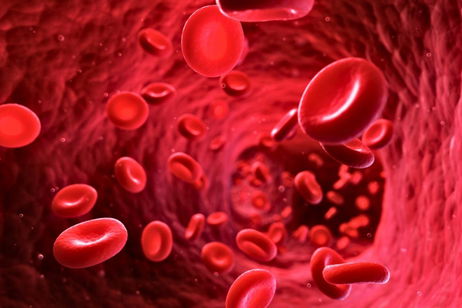 Se acabaron las incompatibilidades de sangre: han desarrollado una artificial que podría servir para cualquier grupo sanguíneo Se acabaron las incompatibilidades de sangre: han desarrollado una artificial que podría servir para cualquier grupo sanguíneo