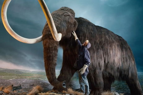 Tiene más de 40.000 años y está hecho con colmillo de mamut. Este bumerán prehistórico deja boquiabiertos a los expertos