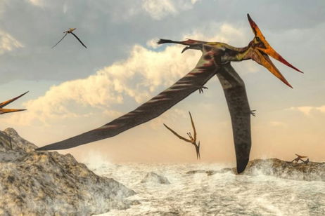 Encuentran el reptil volador más antiguo de América: tenía el tamaño de una gaviota moderna