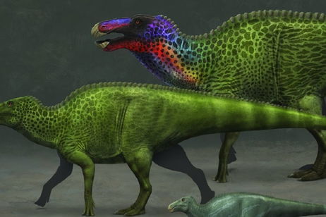 Un equipo de paleontólogos encuentra un dinosaurio en el sitio menos esperado: debajo de una carretera Un equipo de paleontólogos encuentra un dinosaurio en el sitio menos esperado: debajo de una carretera