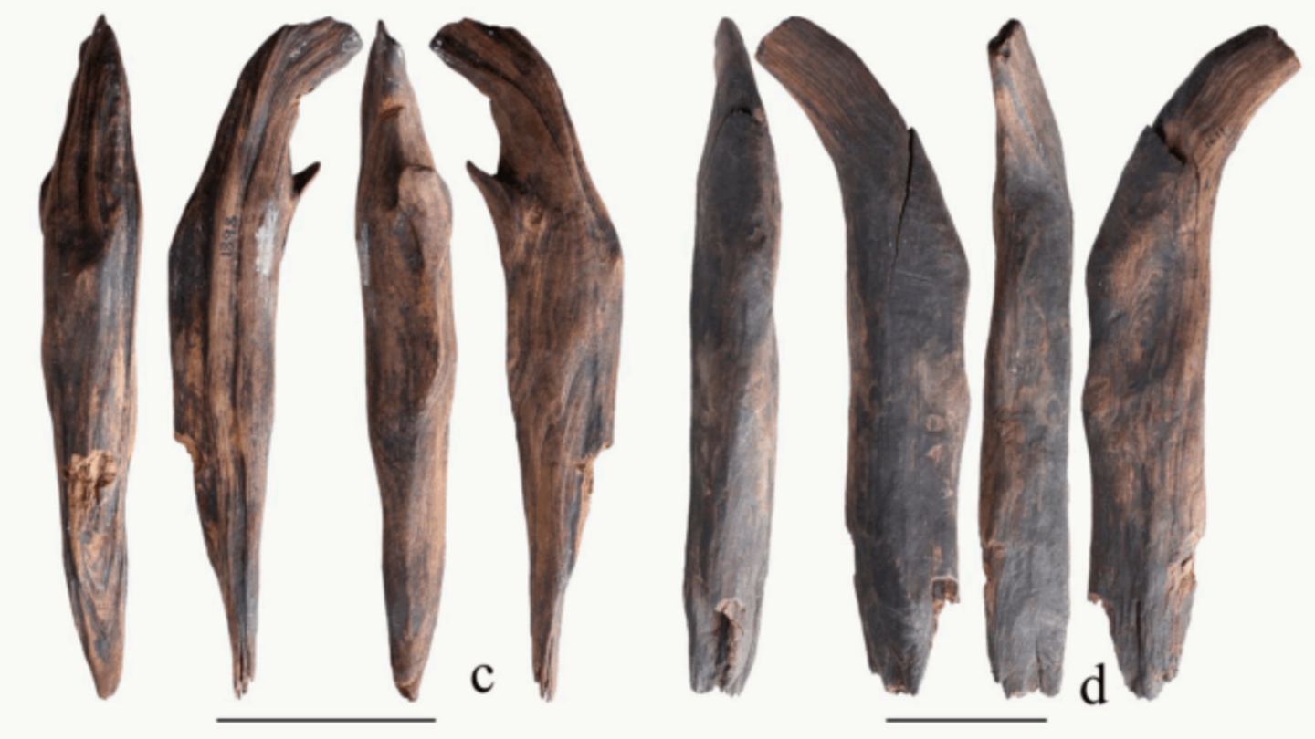 Las herramientas de madera más antiguas encontradas a Asia podrían pertenecer a tres especies de humanos distintos