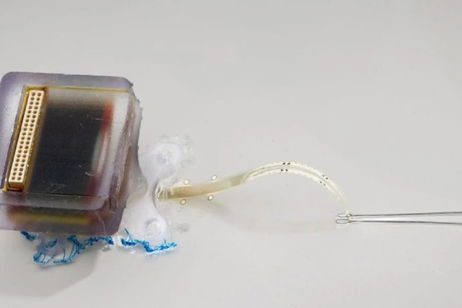 Este innovador implante es una revolución para las lesiones medulares: podría restaurar la movilidad Este innovador implante es una revolución para las lesiones medulares: podría restaurar la movilidad