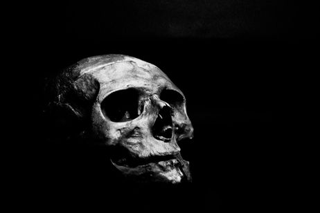 Este antiguo cráneo es una reliquia de la humanidad: es la mezcla de dos antiguas especies humanas