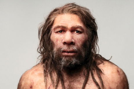 Esta «fábrica» tiene más de 125.000 años y sirve para demostrar que los neandertales eran más inteligentes de lo que creíamos Esta «fábrica» tiene más de 125.000 años y sirve para demostrar que los neandertales eran más inteligentes de lo que creíamos