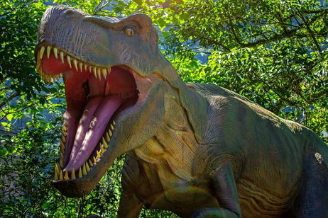 Malas noticias para los fanáticos de la paleontología: el único dinosaurio bebé que existe va a ser subastado Malas noticias para los fanáticos de la paleontología: el único dinosaurio bebé que existe va a ser subastado