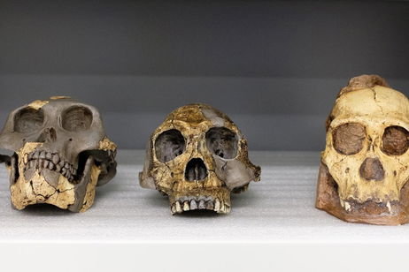 Un fósil de hace 140.000 años cambia todo lo que sabíamos de los neandertales