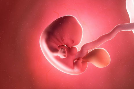 Los bebés más inteligentes estarán en Estados Unidos: Están pagando hasta 50 mil dólares para saber el cociente intelectual de los embriones