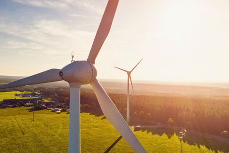 La energía verde gana impulso en Estados Unidos: la luz del sol y el viento son los más utilizados