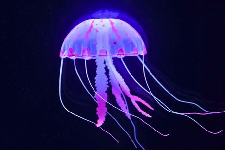 Los secretos de las profundidades marinas pronto podrían estar al descubierto gracias a este pequeño cíborg Los secretos de las profundidades marinas pronto podrían estar al descubierto gracias a este pequeño cíborg