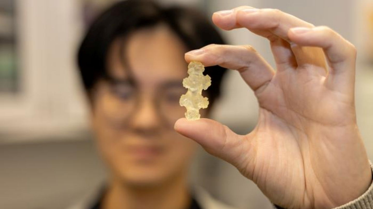 El estudiante de doctorado Chenhao Hu sostiene un modelo impreso en 3D de una esclerita