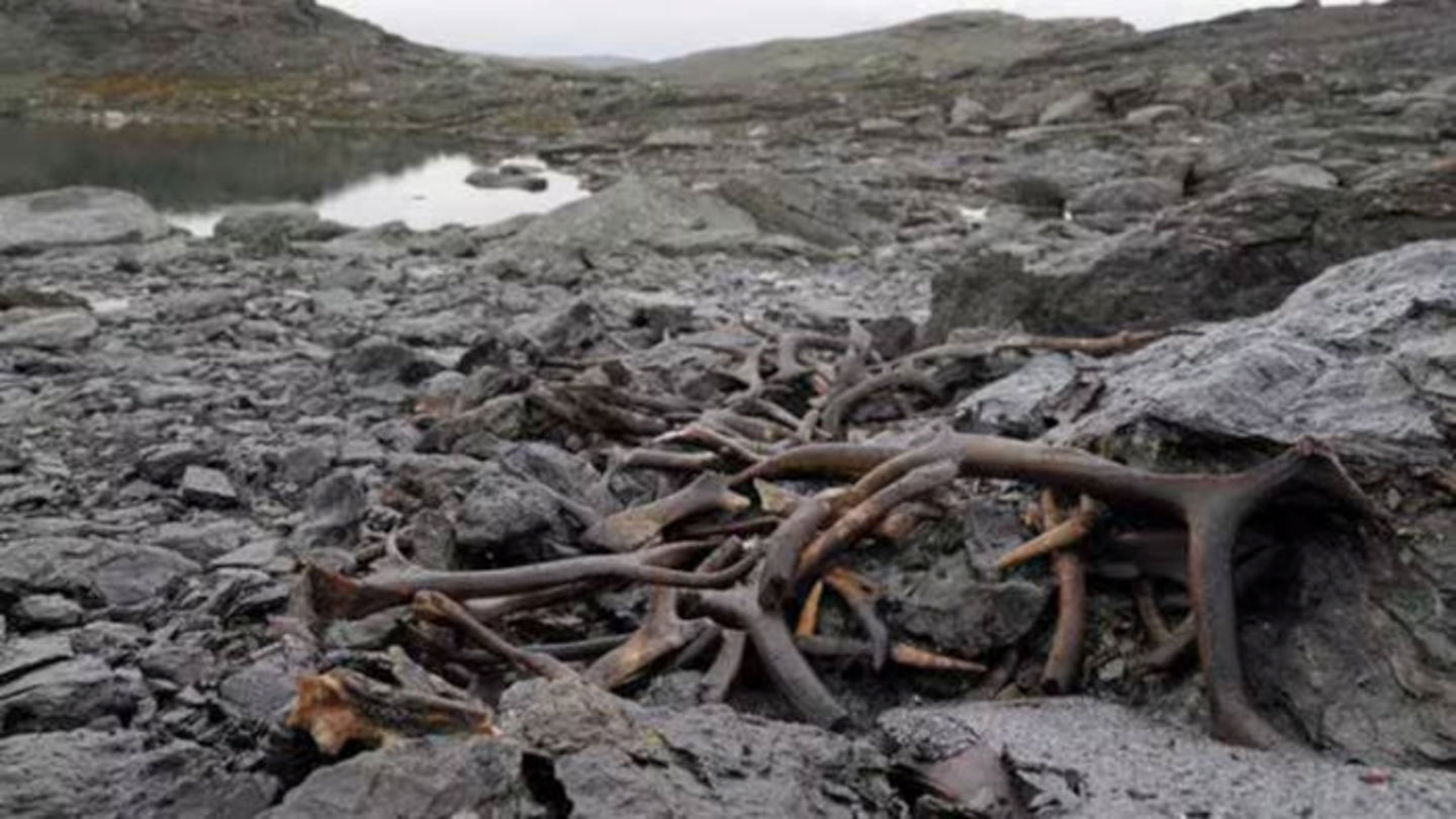 Astas de reno halladas en Aurlandsfjellet