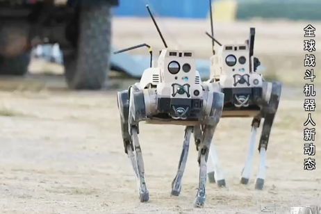 China soltará "lobos" para enfrentarse a Taiwán: estos perros robots serán la punta de lanza de los asalto China soltará "lobos" para enfrentarse a Taiwán: estos perros robots serán la punta de lanza de los asalto