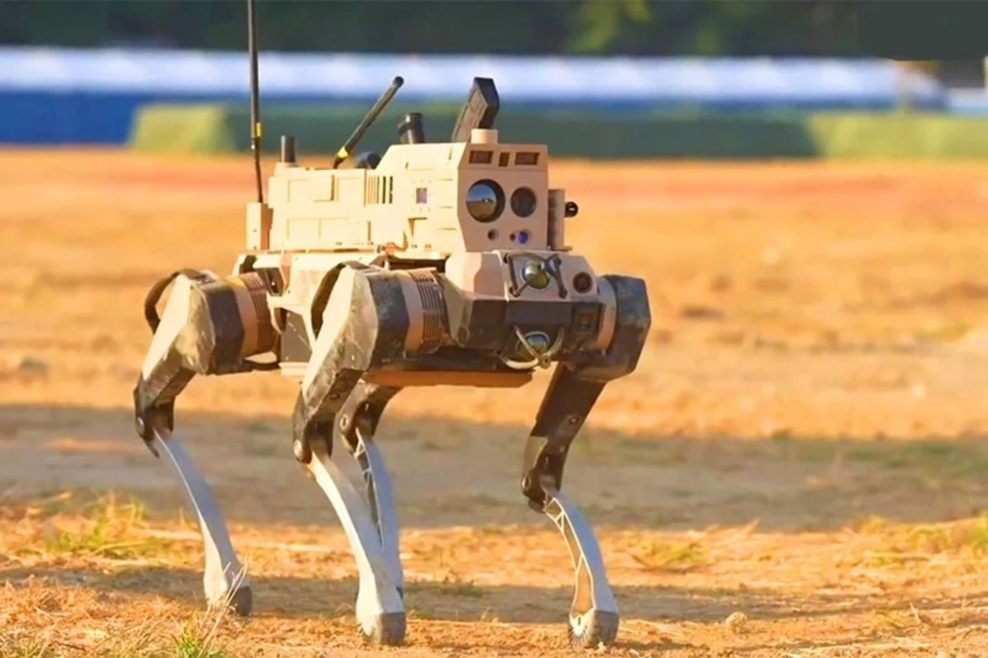 China soltará "lobos" para enfrentarse a Taiwán: estos perros robots serán la punta de lanza de los asalto